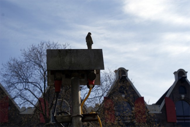 Street Art fron street artist Isaac Cordal Street