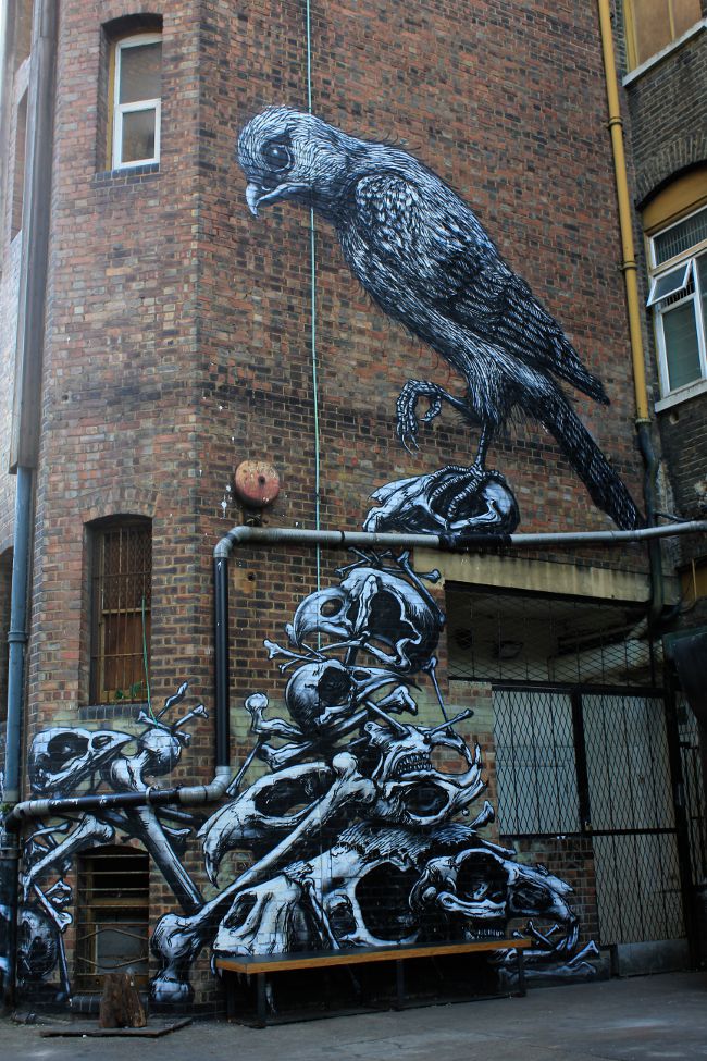 ROA Phlegm Peckham Street Art London