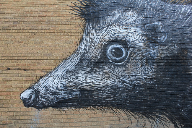 Roa Street Art in East London