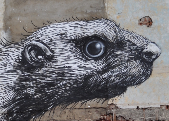 beaver graffiti