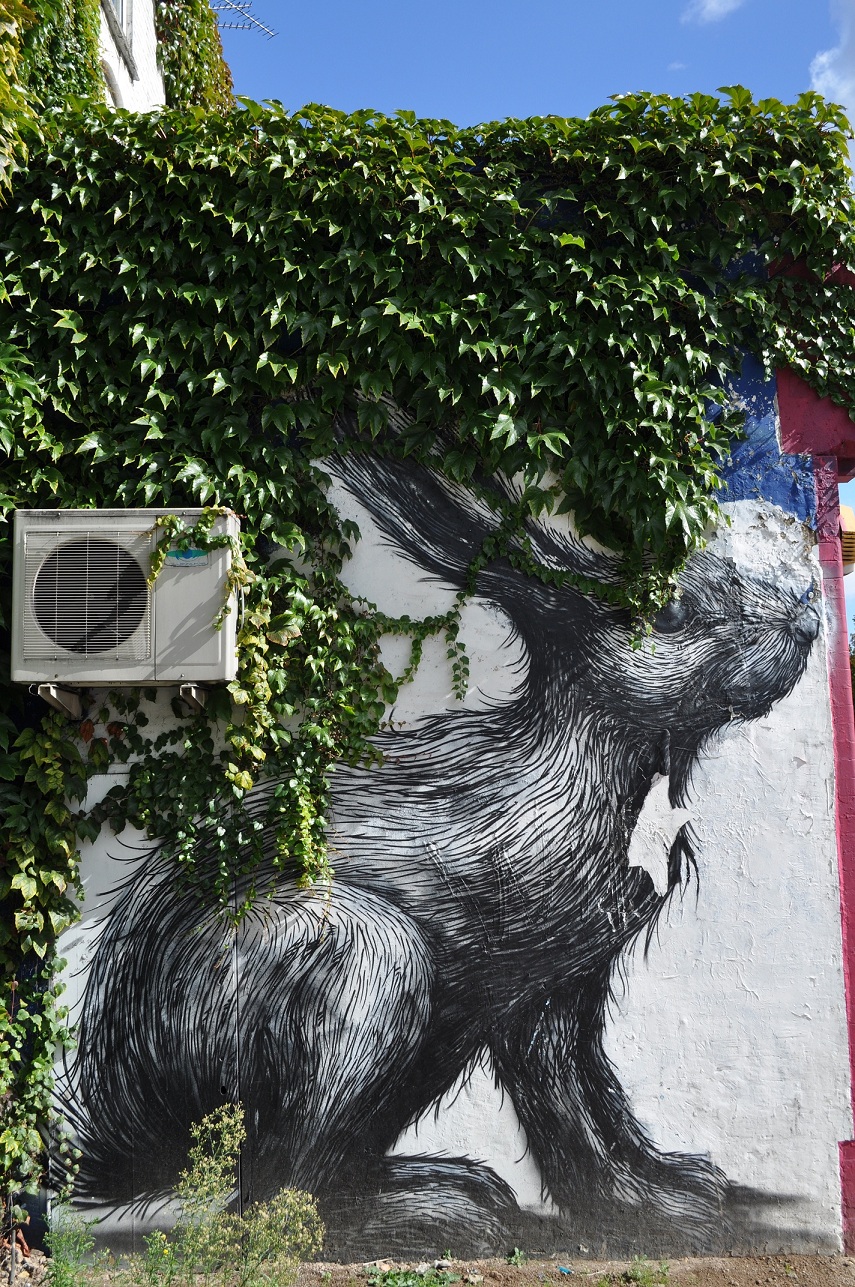 Roa Rabbit Hackney